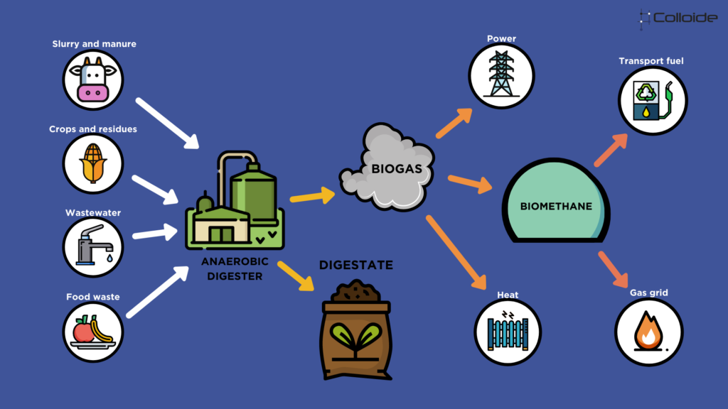 Featured Image for How Does the Anaerobic Digestion Process Work?
