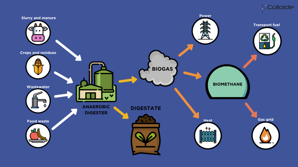  What Is Anaerobic Digestion Colloide