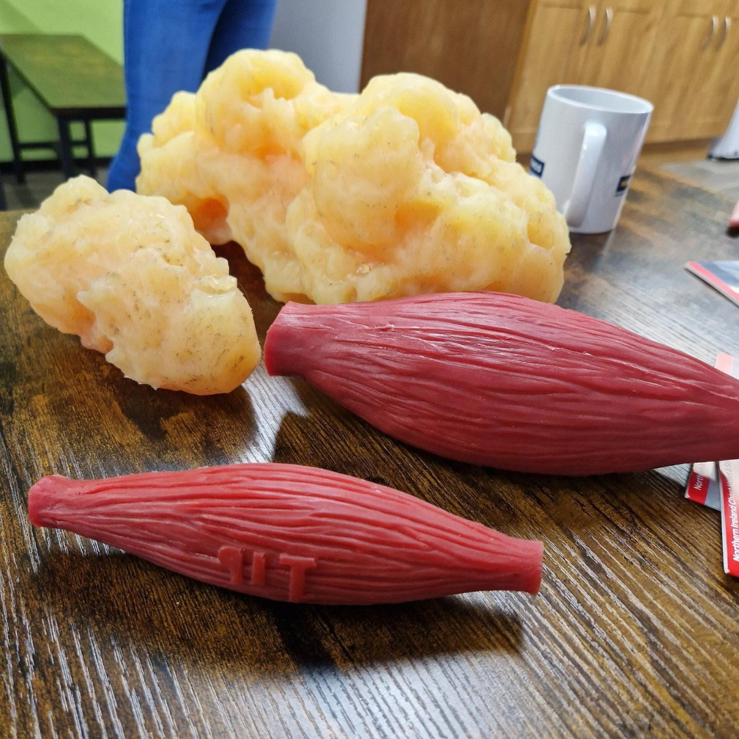 Gallery Image for Heart-Healthy Initiative with NICHS