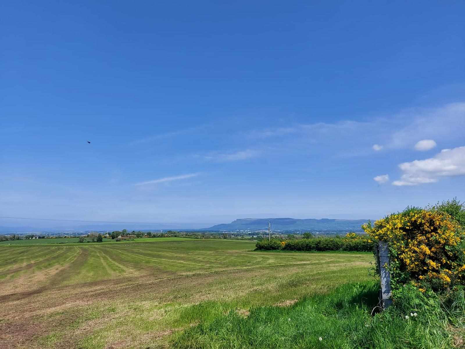 Gallery Image for Team Colloide Steps Up for National Walking Month