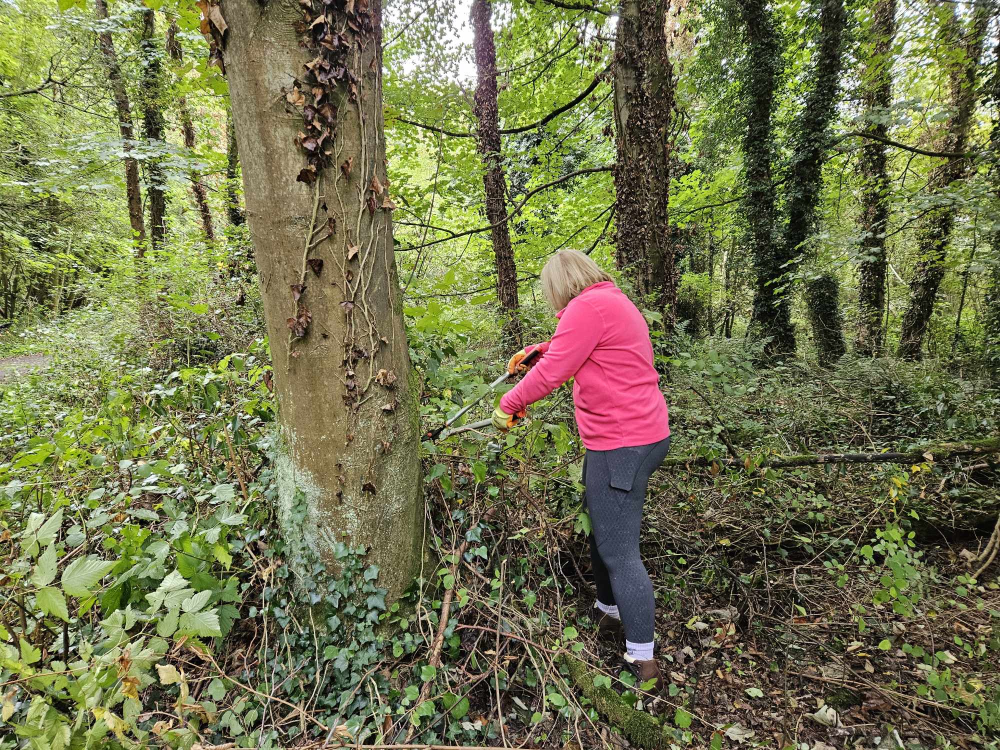 Gallery Image for Protecting Nature, Preserving Biodiversity at Antrim Lough Shore