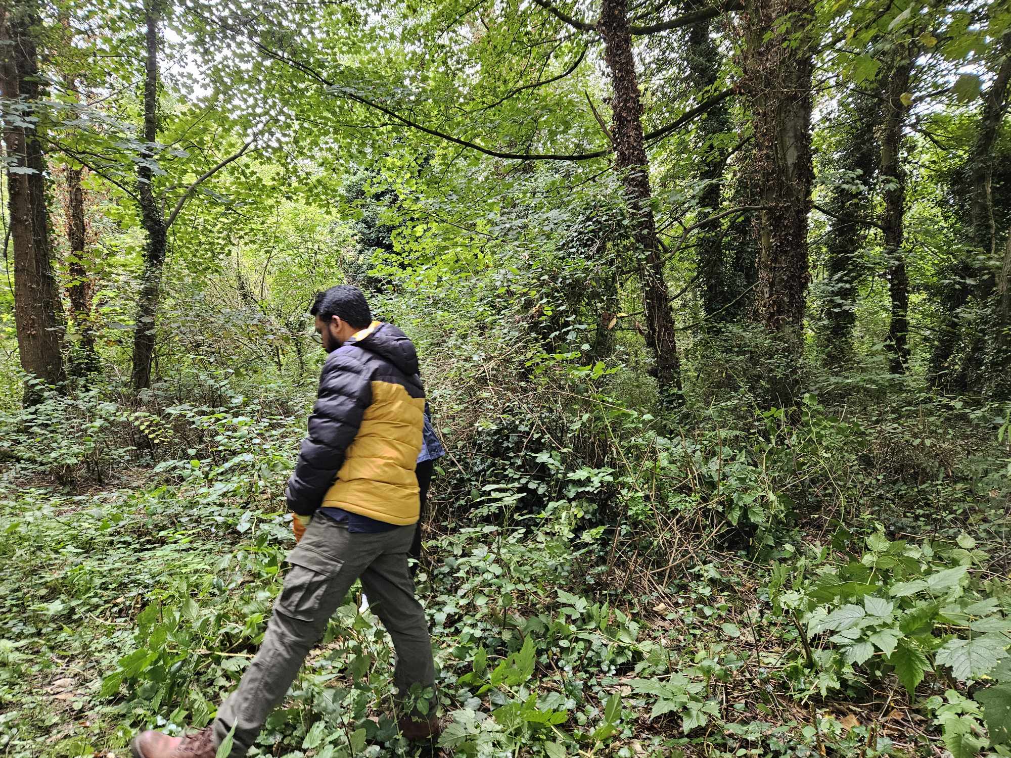 Gallery Image for Protecting Nature, Preserving Biodiversity at Antrim Lough Shore