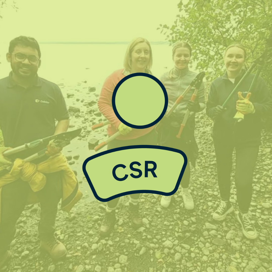 Featured Image for Protecting Nature, Preserving Biodiversity at Antrim Lough Shore