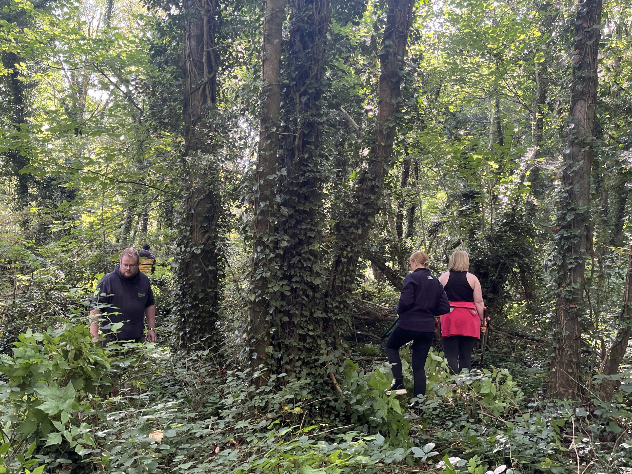 Gallery Image for Protecting Nature, Preserving Biodiversity at Antrim Lough Shore