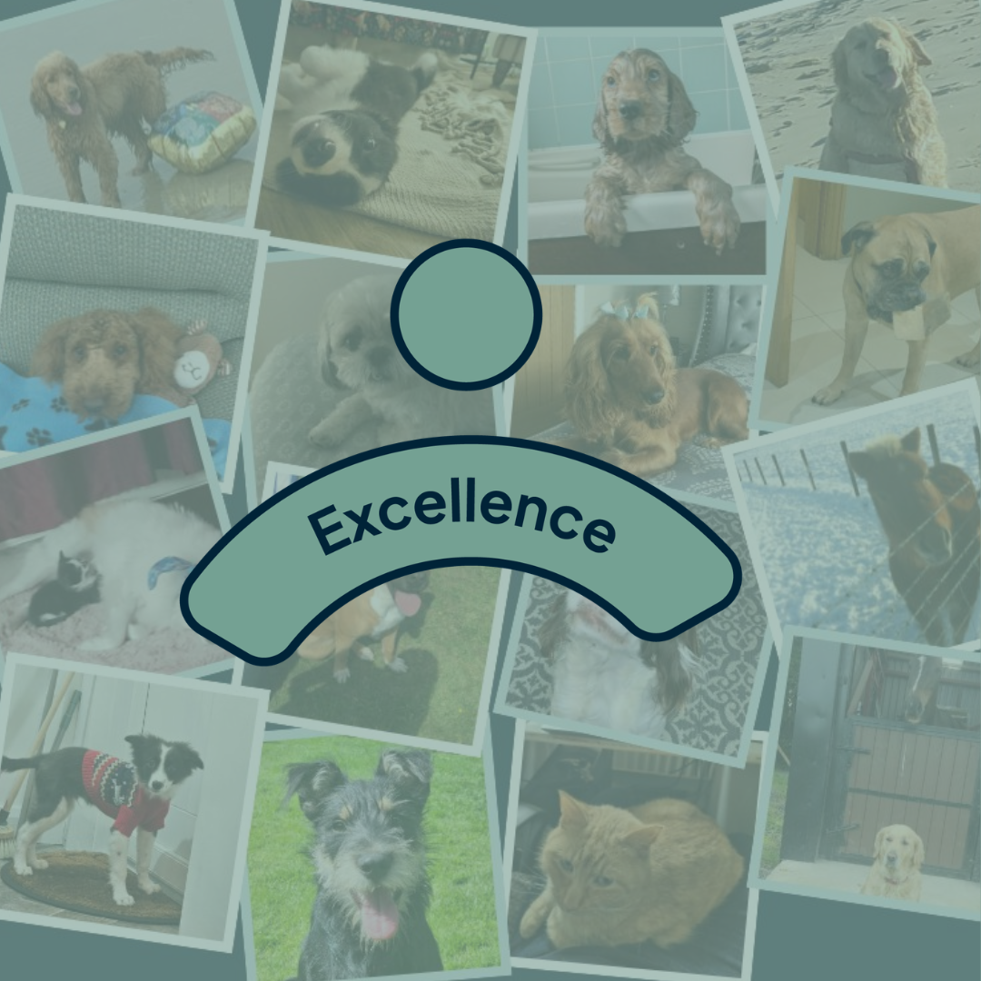 Featured Image for Celebrating Key Calendar Days