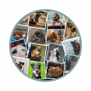 WEB - Culture Hub Yearly Blog Insert Image (square) Key Calendar Days 2025