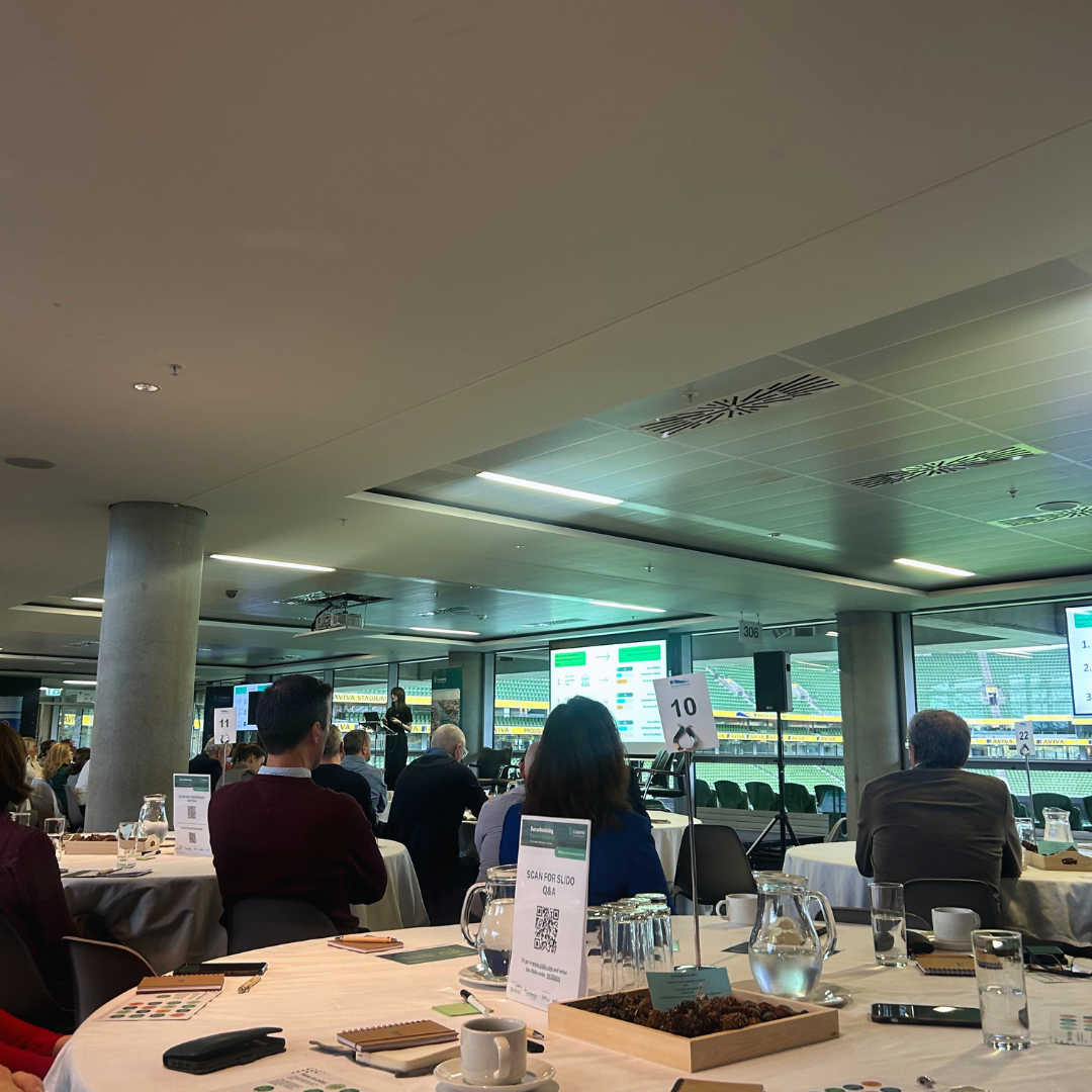 Featured Image for Reflections from the Codema Decarbonising Summit